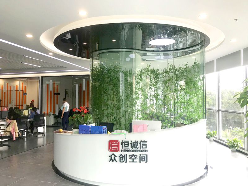 前台-实拍-草莓视频污版APP下载装修